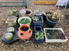 A GROUP OF ASSORTED GARDEN PLANTERS ETC (12 PIECES + 5 SLABS AND 2 WEIGHTS)