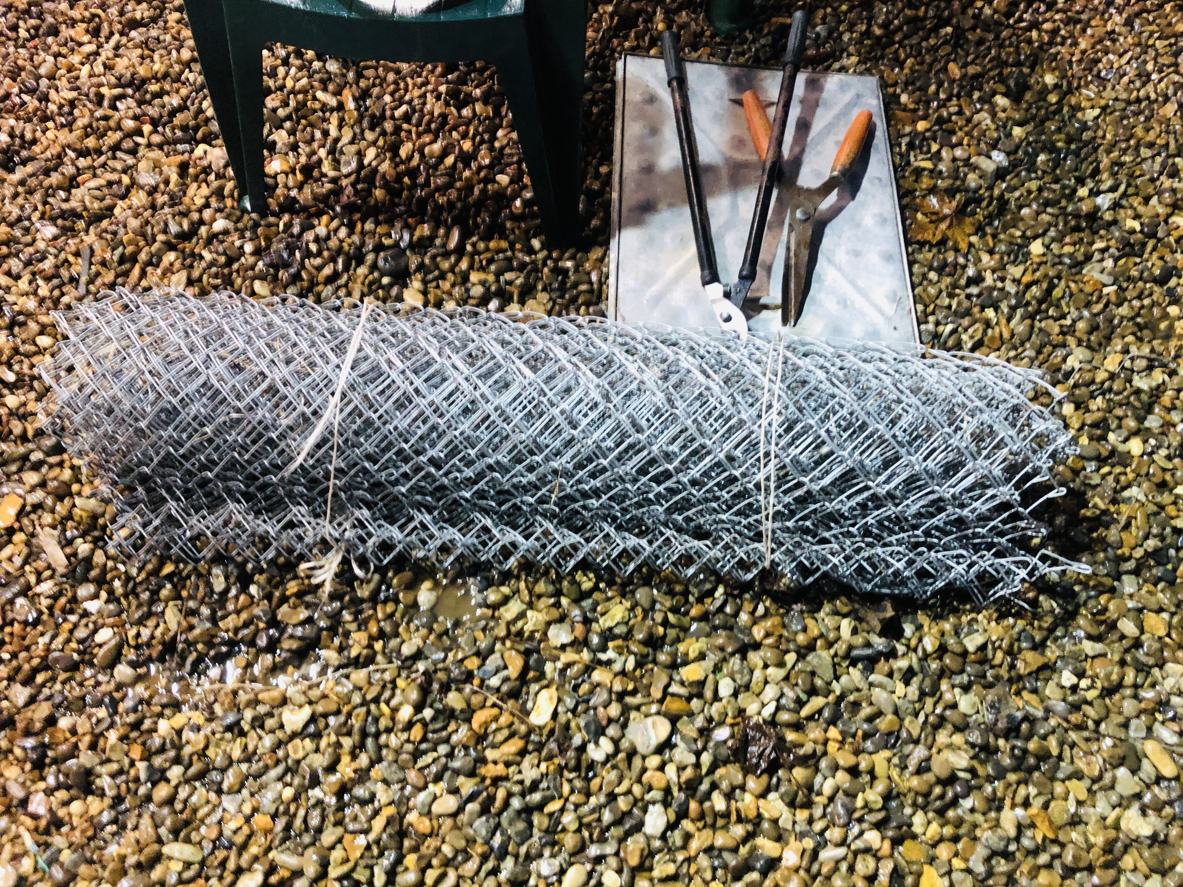 A SMALL GREEN HOUSE / PROPAGATOR TENT, A PART ROLL OF 4FT CHAIN LINK FENCING, - Image 2 of 7