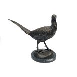 A BRONZE PHEASANT, mounted on a round marble plinth, measuring approx. 12 1/2in. x 17 1/2in..