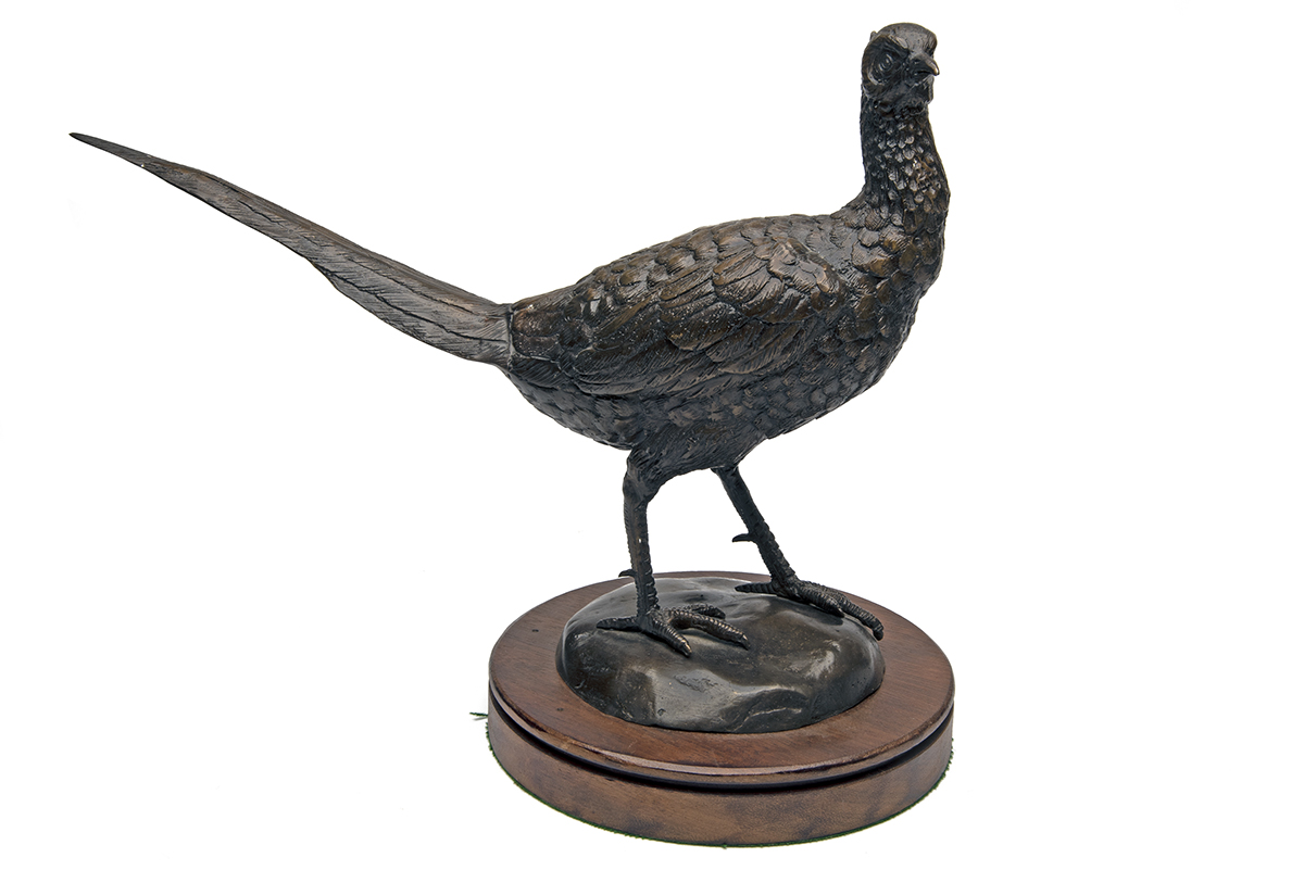 A BRONZE PHEASANT, unsigned, mounted a round oak plinth, measuring approx. 14in. x 18in. x 9in..