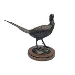 A BRONZE PHEASANT, unsigned, mounted a round oak plinth, measuring approx. 14in. x 18in. x 9in..