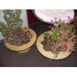 A pair of decorative garden planters