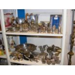 Collectable plated ware (contained on two shelves)