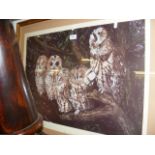 A Limited Edition artists proof print of owls