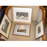 Isle of Wight engravings including Shanklin Chine