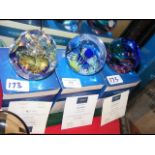 Three boxed Caithness paperweights including 'Cool