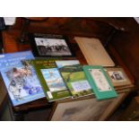 Various modern books relating to the Isle of Wight