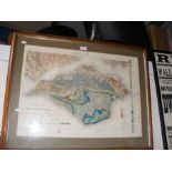 An old geological survey map of The Isle of Wight,