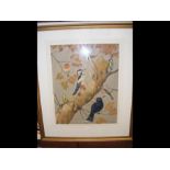 RALSTON GUDGEOIZ - watercolour of various birds in