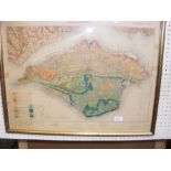 An old geological survey map of the Isle of Wight,