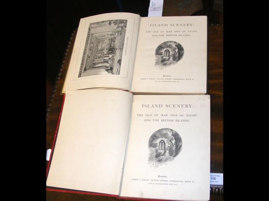 Two volumes of 'Island Scenery' by James Knapp