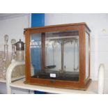 Scientific scales in glass case