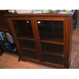 A narrow mahogany display cabinet/bookcase with tw