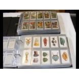 An album of collectable cigarette cards, flowers a