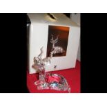 A boxed Swarovski model of African Kudu - 10cms hi