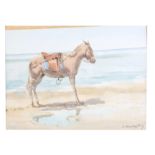 A 20TH CENTURY WATERCOLOUR OF DONKEY ON A BEACH BY VICTOR COVERLEY PRICE, mounted in a glazed