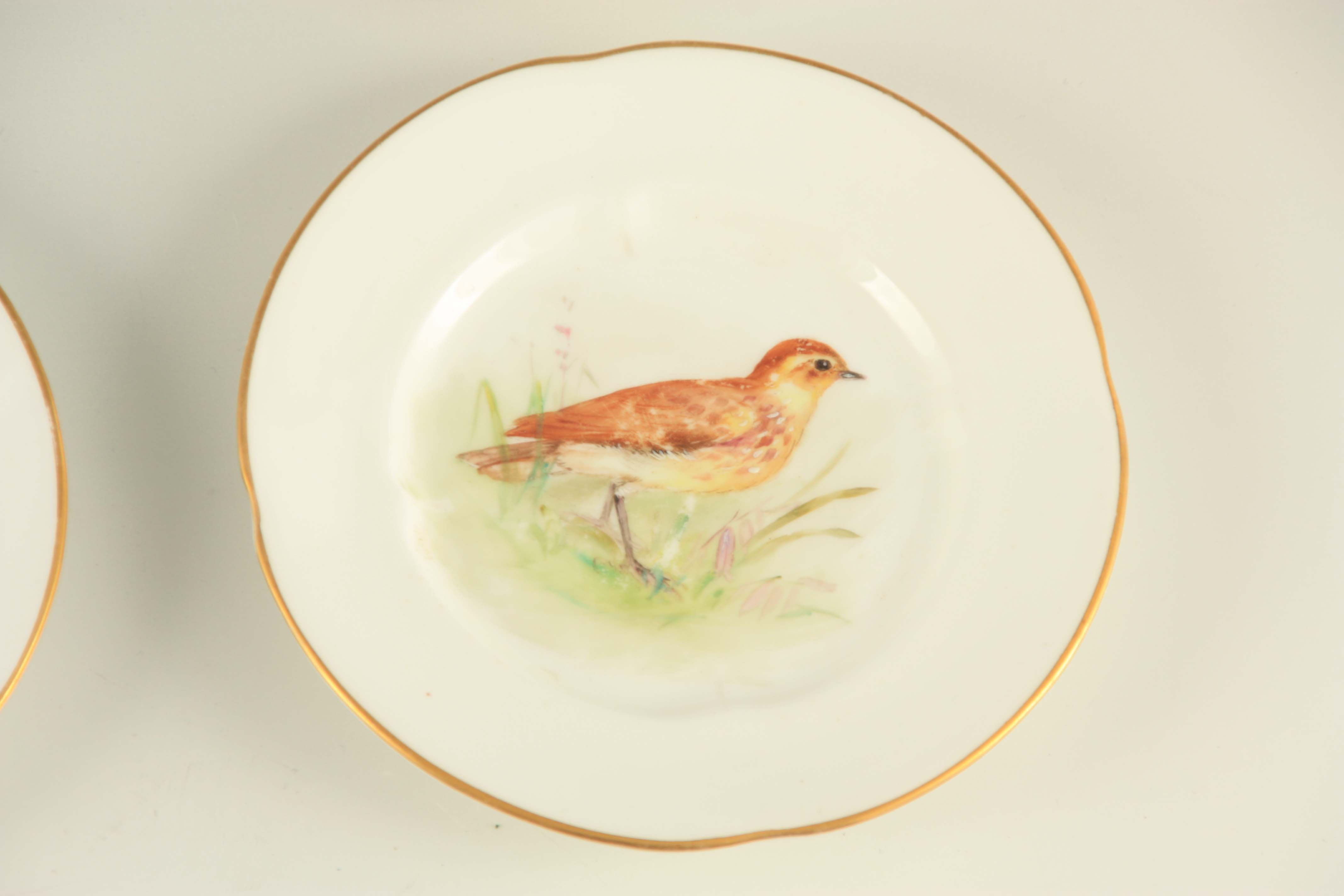 A SET OF SIX EARLY 20TH CENTURY ROYAL WORCESTER CABINET PLATES having handpainted birds to the - Image 5 of 9