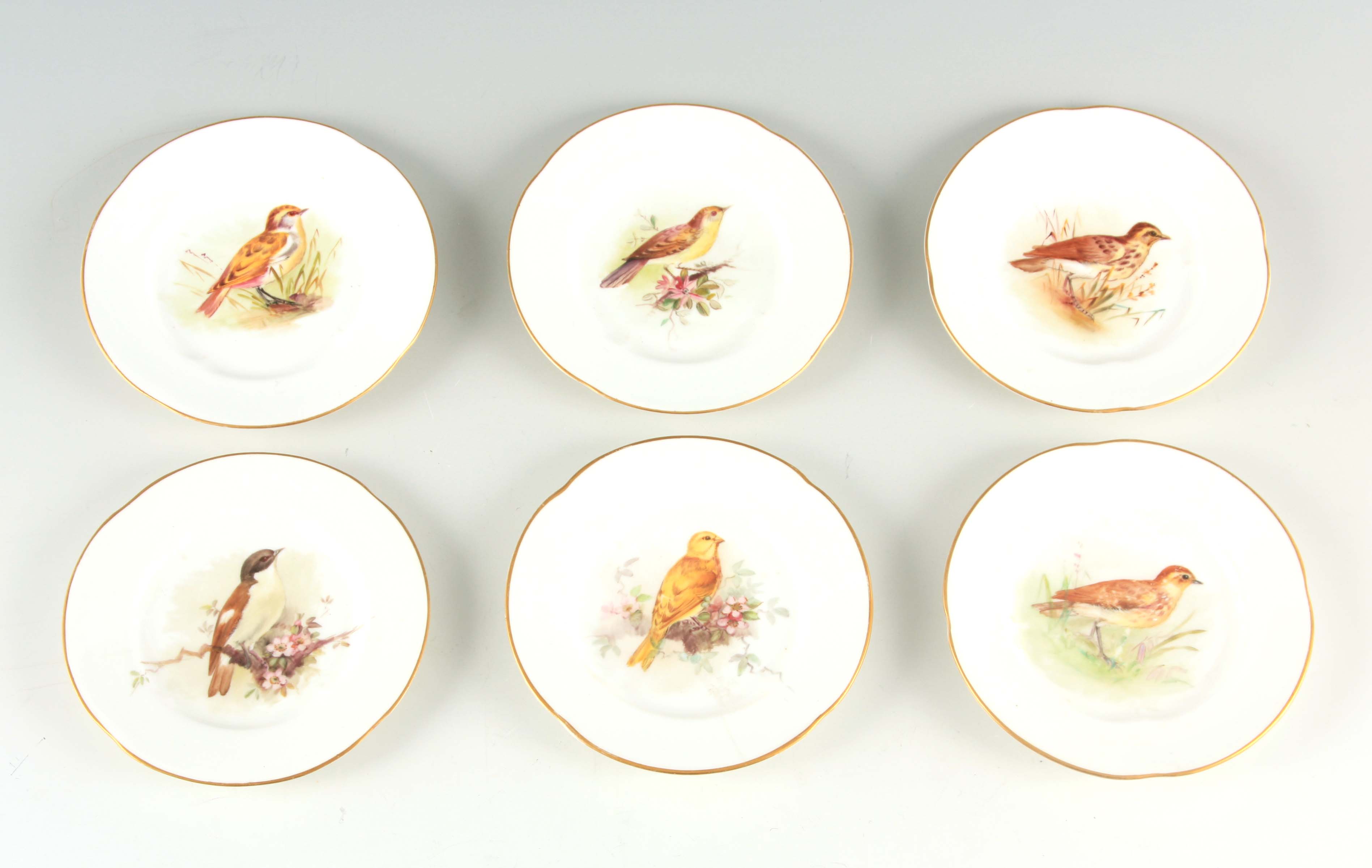 A SET OF SIX EARLY 20TH CENTURY ROYAL WORCESTER CABINET PLATES having handpainted birds to the