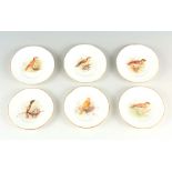 A SET OF SIX EARLY 20TH CENTURY ROYAL WORCESTER CABINET PLATES having handpainted birds to the