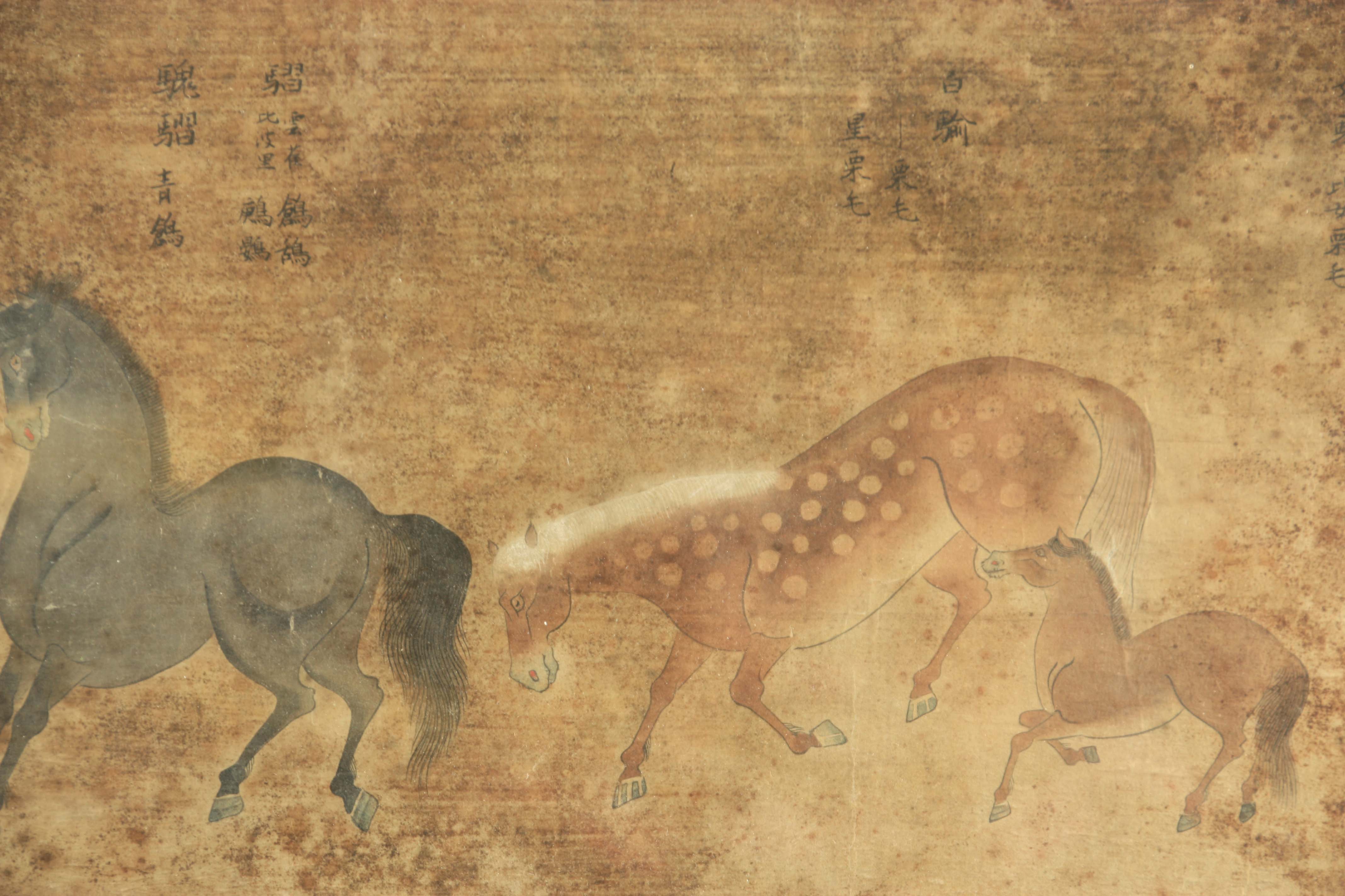 A PAIR OF 18TH CENTURY CHINESE WATERCOLOURS depicting horses with Chinese script above 26cm high, - Bild 6 aus 9