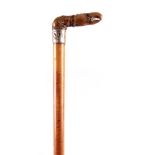 A 19TH CENTURY CARVED HORN HANDLED WALKING CANE modelled as a lobster claw with silver collar on