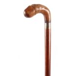 A 19TH CENTURY PHALLIC HORN HANDLED WALKING CANE possibly Rhino horn with silver metal collar on