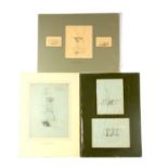 RICHARD WEATHERILL. A COLLECTION OF MOUNTED PENCIL SKETCHES with written details of colours and
