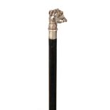 A LATE 19TH CENTURY SILVER MOUNTED DOGSHEAD WALKING STICK with ebonised shaft 92cm overall.