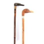 A 19TH CENTURY HORN HANDLED WALKING STICK formed as a dogs head mounted on a stepped malacca shaft