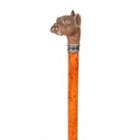 A 19TH CENTURY MALACCA CANED DOGS HEAD WALKING STICK with wood carved head and white metal mounted