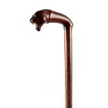 A 19TH CENTURY LIONS HEAD WALKING STICK with carved Mahogany handle depicting a Lion's head with