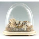 A 19TH CENTURY ROCK CRYSTAL DISPLAY UNDER A GLASS DOME mounted on a moulded white marble base 48cm