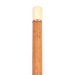 AN 18TH CENTURY IVORY AND MALACCA WALKING STICK with large brass ferrule and ivory pommel with