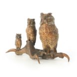 A FINE AUSTRIAN BERGMAN TYPE COLD PAINTED BRONZE SCULPTURE modelled as a graduated set of three owls