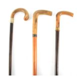 THREE 19TH CENTURY RHINO HORN HANDLED WALKING STICKS one with a Malacca cane the others with