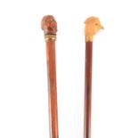 TWO 19TH CENTURY FRENCH WALKING STICKS one with a carved boxwood gnome pommel having glass eyes