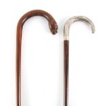 TWO 19TH CENTURY MAHOGANY WALKING STICKS one with hooped carved dog's head handle inlaid with silver