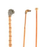 THREE 19TH CENTURY WALKING STICKS comprising a Malacca caned stick with horseshoe pommel by