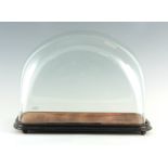 AN UNUSUAL 19TH CENTURY GLASS DOME ON EBONIZED WOOD BASE of rectangular arched flattened form 47cm