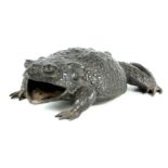 A LATE 19TH CENTURY PEWTER SCULPTURE modelled as a large open-mouthed toad 33cm long, 25cm wide