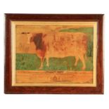 AN EARLY 19TH CENTURY PRIMATIVE PAINTING OF THE CRAVEN HEIFER with inscription beneath 38cm high