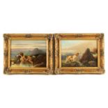 JAMES PRICE A PAIR OF EARLY 20TH CENTURY OILS ON CANVAS titled and signed on reverse 'Spaniel and