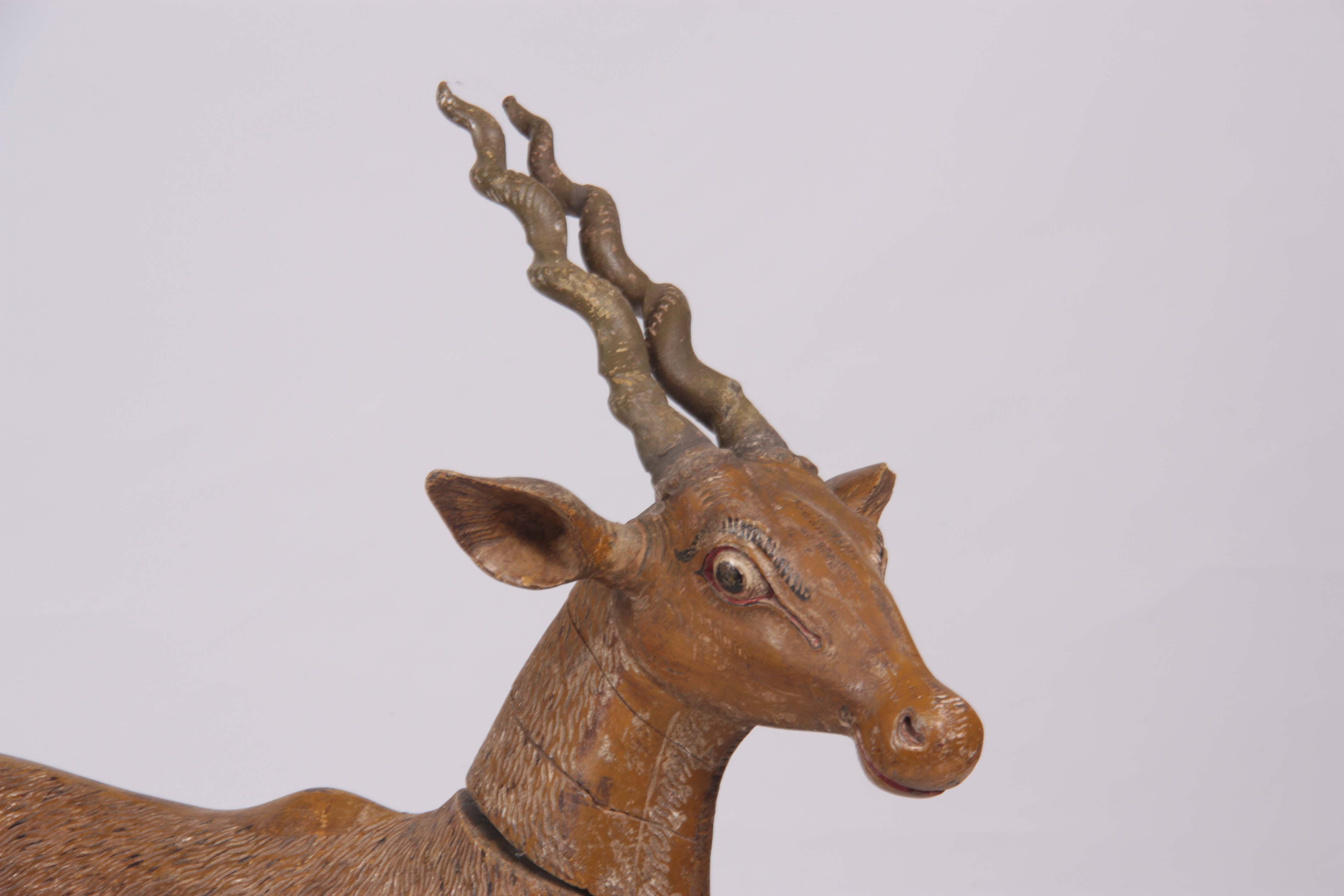 A LARGE 19TH CENTURY INDIAN PAINTED CARVED WOOD MODEL OF A BLACKBUCK / ANTELOPE the removable head - Image 3 of 5