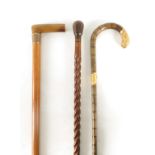 THREE 19TH CENTURY WALKING STICKS comprising a barley twist pine stick 85cm overall, a malacca and