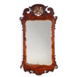 AN EARLY 18TH CENTURY BURR ELM HANGING MIRROR with scrolled shaped frame enclosing a gilt carved
