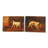 A SMALL PAIR OF 19TH CENTURY ENGLISH SCHOOL OILS ON BOARD depicting two Jack Russels watching a