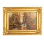 A 19TH CENTURY OIL ON BOARD depicting a river tree-lined landscape - signed F Williams / F. Wilson ?