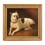 HUBERT HUNARD A 19TH CENTURY OIL ON CANVAS A French bulldog with collar lying on straw 41cm high,