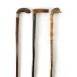 THREE 19TH CENTURY WALKING STICKS comprising a mahogany shaft and golf club handle, a carved birds