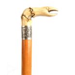 A 19TH CENTURY CARVED BONE AND MALACCA WALKING CANE the handle, possibly whalebone modelled as a